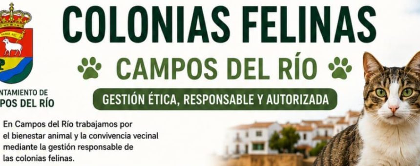 CARTEL-INFORMATIVO-COLONIAS-CON-QR-INTRO