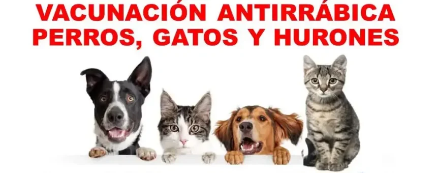 imagen16